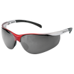 Ochelari protecţie RAY SMOKE — stenso.gr Ochelari protecţie RAY SMOKE