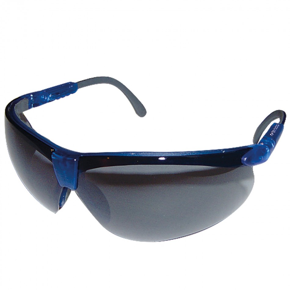 PERSPECTA 010 Safety glasses