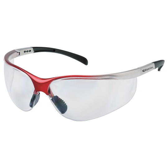 Γυαλιά προστασίας RAY CLEAR