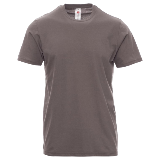 T-shirt PAYPER PRINT GREY